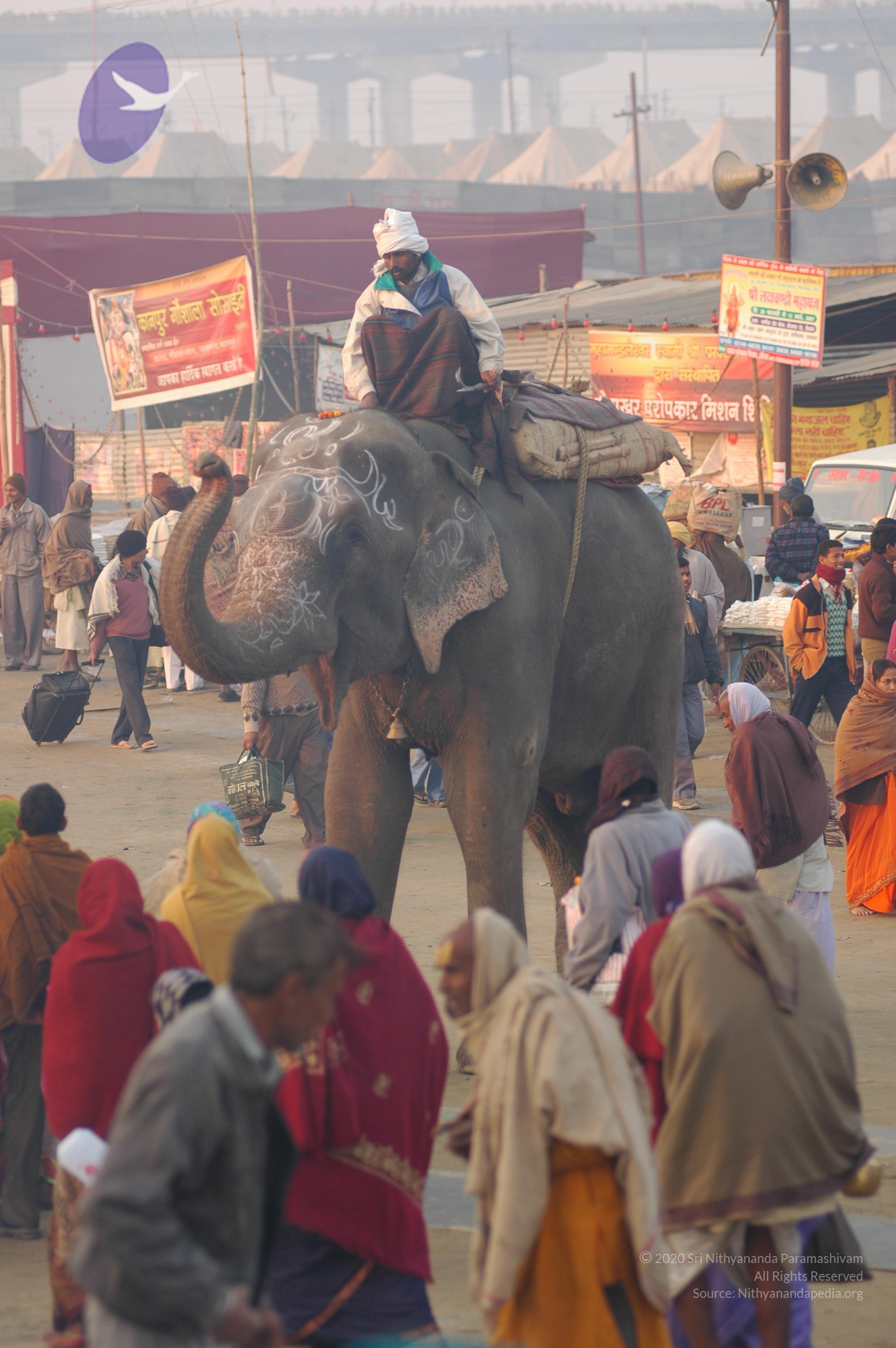 india-Ashram-Dic.30-31-1 -.05-06 157_CMP_WM